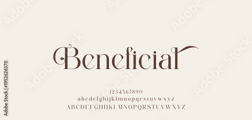 Lettering Minimalist Fashion. Elegant alphabet letters serif font and number. Typography fonts regular uppercase, lowercase.