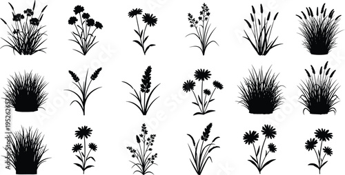 Black silhouette of various car tires including sports, off-road, and passenger vehicle wheels isolated on white background for automotive design