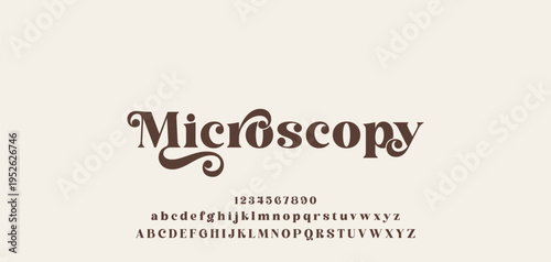 Lettering Minimalist Fashion. Elegant alphabet letters serif font and number. Typography fonts regular uppercase, lowercase.