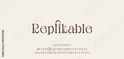 Lettering Minimalist Fashion. Elegant alphabet letters serif font and number. Typography fonts regular uppercase, lowercase.