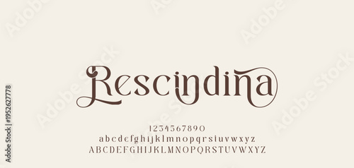 Elegant ligature alphabet letters font logo. Typography luxury classic lettering serif fonts decorative wedding vintage retro logos, design for fashion,beauty shop and brand . vector illustration