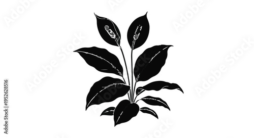 Peace lily plant stands as a bold black silhouette against a clean white background.