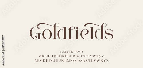 Elegant ligature alphabet letters font logo. Typography luxury classic lettering serif fonts decorative wedding vintage retro logos, design for fashion,beauty shop and brand . vector illustration