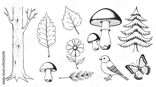 Hand-Drawn Forest Nature Vector Set Featuring Woodland Trees Mushrooms Butterfly and Songbird Icons