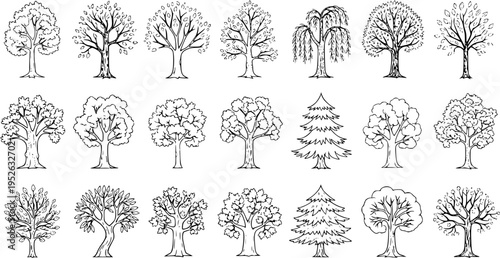 Set of 24 diverse hand-drawn tree illustrations. Black and white line art sketches featuring various tree types like deciduous, evergreen, and bare for nature and plant designs.