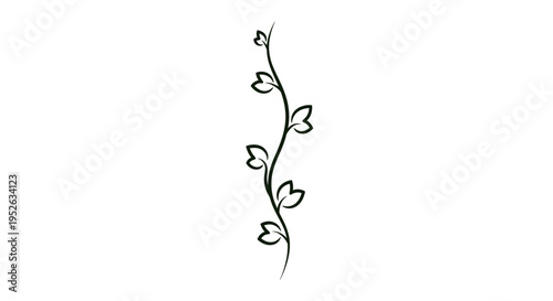 Delicate twig with small leaves growing.