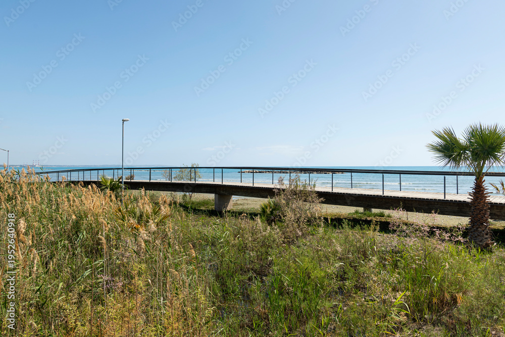 Fototapeta premium Natural Coastal Lagoon Surrounded by Lush Wetland Vegetation