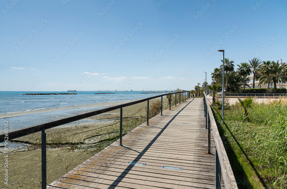 Fototapeta premium Natural Coastal Lagoon Surrounded by Lush Wetland Vegetation