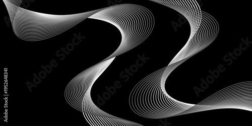 Abstract black and white wave background featuring a vector illustration of wavy lines and flowing curve patterns for a modern business wallpaper design