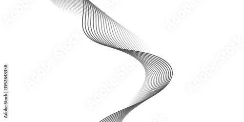 An abstract black and white wave background featuring a 3d winding curve design and motion line art patterns as a decorative vector ribbon element