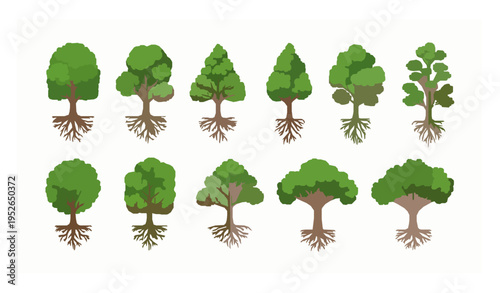 Green trees with roots vector set in flat style isolated on white background nature collection