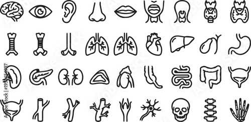 Black_line_icons_human_body_3918b947bc