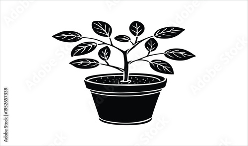 Black and white illustration of a potted plant with leaves