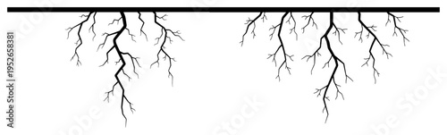 Hand drawn tree roots or underground cracks extending from surface in vintage engraving style