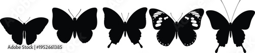 Black silhouette illustration of five butterflies with distinct wing shapes and patterns, arranged in horizontal line, symbolizing nature, diversity, elegance, and artistic inspiration for creative 