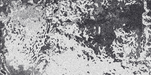 Abstract grayscale texture with organic blotches and speckled noise creating a distressed grunge effect for backgrounds and overlays