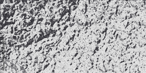 Detailed grayscale abstract texture with irregular dark shapes and fine granular noise, resembling organic patterns or weathered surfaces