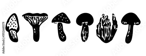 Black ink mushroom collection: vector silhouette set of forest fungi like chanterelle, amanita, morel, boletus. Hand-drawn monochrome doodle illustration, linocut style isolated on white