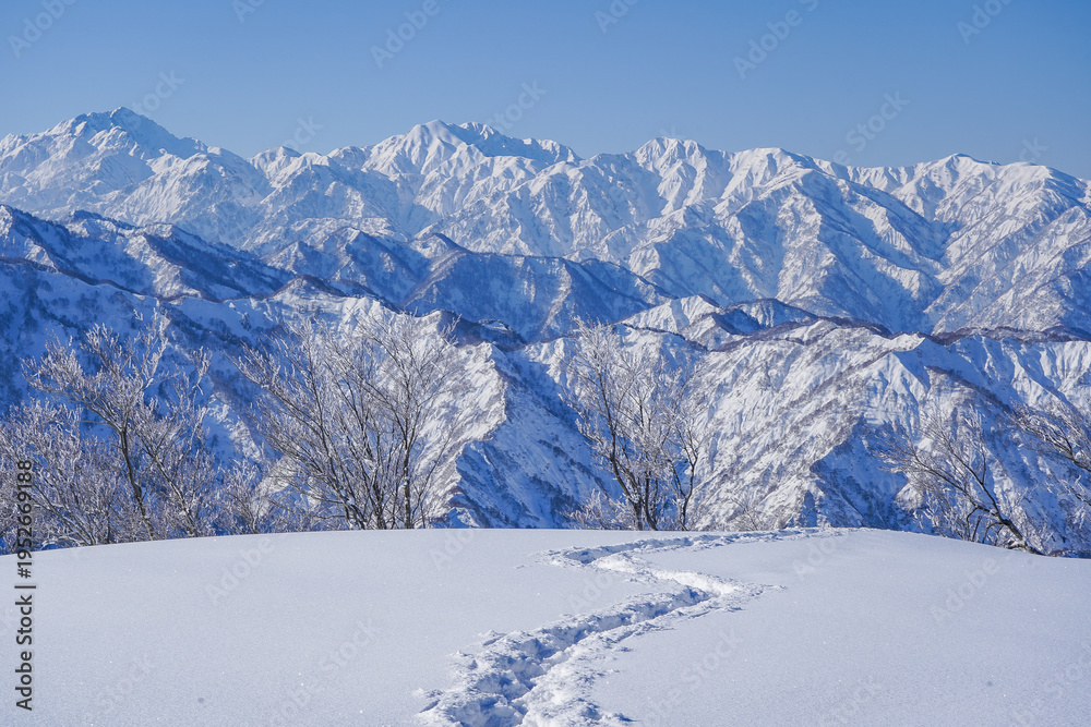 Fototapeta premium 冬の大地山から見るトレースと立山連峰