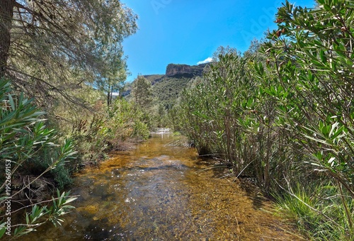 Foto Río de montaña con agua cristalina entre vegetación mediterránea , Paisaje natur