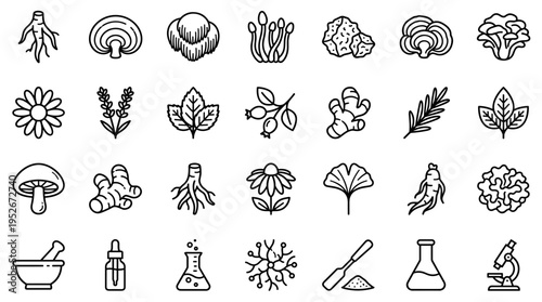 Natural medicine and herbal remedy icons set for organic health and wellness research