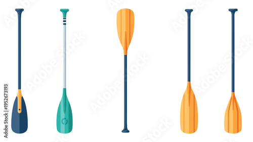 Selection of various boat paddles and oars in different styles and colors including wooden and synthetic designs.