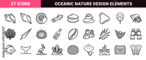 Marine Biology and Coastal Treasury Monoline Symbols Featuring Minimalist Shells, Starfish, and Coral Elements in a Sophisticated Outline Style