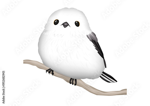 野鳥　「シマエナガ」かわいい　イラスト　ベクター形式