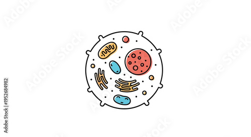 Illustration of a cell showing various organelles and their arrangement within the cell's structure