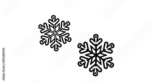 Two detailed snowflake illustrations against a plain white background