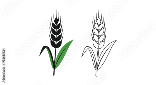 Two wheat stalks one colored and one outlined with green leaves