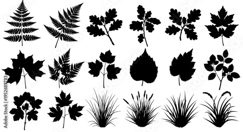 Extensive collection of various natural plant, leaf, and grass silhouettes in black on an isolated white background.