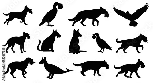 Collection of animal silhouettes for design.