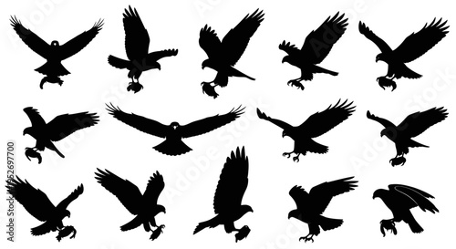 Collection of flying bird silhouettes in various poses.