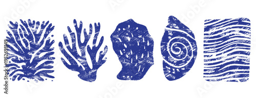 Blue seashell and coral collection: vector linocut set of marine shells, nautilus and waves. Indigo woodcut illustration with scribble texture, boho nautical design elements isolated on white