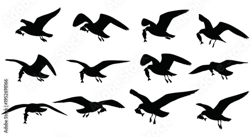 A collection of twelve black bird silhouettes, likely gulls, captured in various flight poses against a white background, suitable for animation or graphic design.
