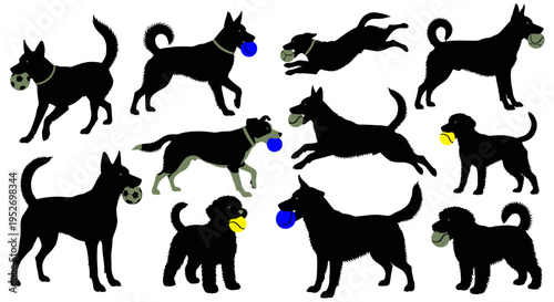 A collection of black dogs and puppies in various poses, some playing with blue and yellow balls, on a white background.