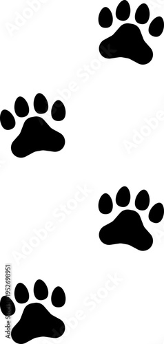 犬や猫などの動物の複数の足跡