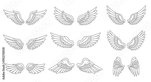 stylized collection of elegant angel and bird wing outlines perfect graphic resources for symbolic logos or tattoo designs.