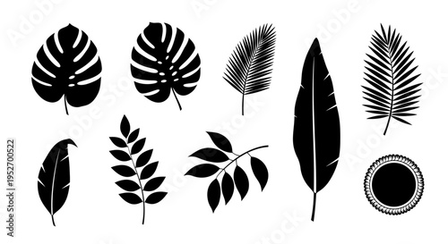 various tropical leaves and exotic botanical silhouettes a versatile vector graphic for summer designs and nature themes