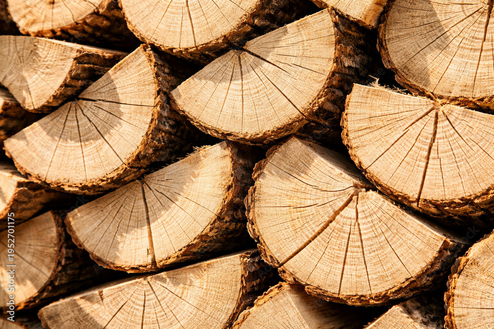Fototapeta premium Stacked wooden logs with intricate patterns and natural textures