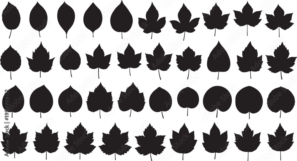 Fototapeta premium Collection of various black leaf silhouettes on white background