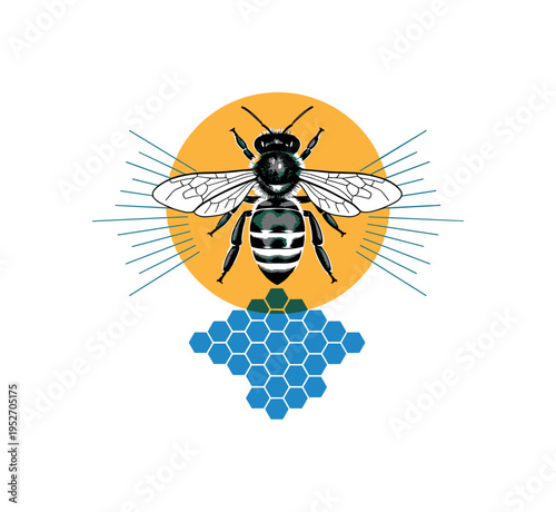 Black and white honeybee enlarged in center, bold yellow-orange circle beneath and blue hexagonal geometric grid referencing hive communication, thin radiating