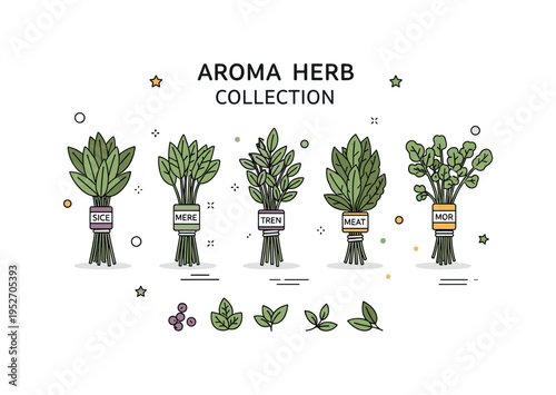 Aromatic herb collection illustrated by several small labeled bundles arranged harmoniously, expressing variety, organization, and appreciation of natural