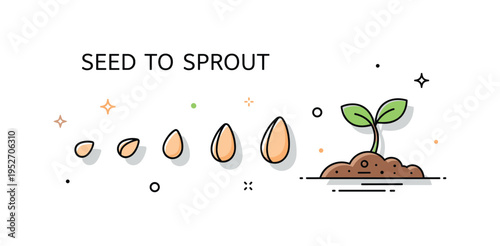 Seed to sprout journey concept showing a sequence of small seed shapes leading to a tiny green sprout emerging from soil, symbolizing transformation and life