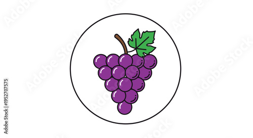 A simple cartoon illustration of a bunch of purple grapes with a green leaf and stem, enclosed in a white circle on a white background.