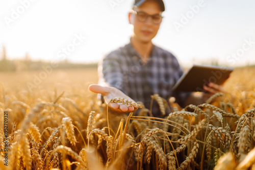 Photography Close-up of a farmer in checkered shirt working in a golden wheat field with a digital tablet at sunset