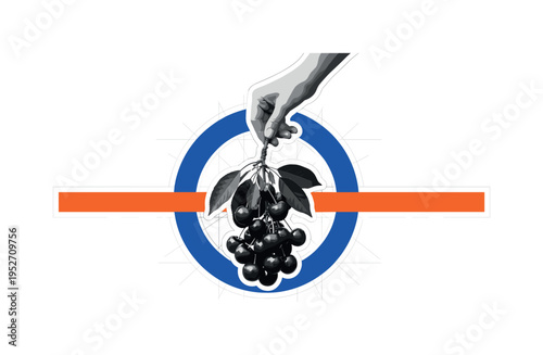 Black and white branch heavy with cherries being gently pulled downward by a hand, bold cobalt blue circle framing the cluster, orange horizontal bar slicing