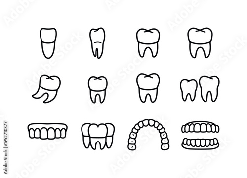 Types of teeth. Line icon set of Types of teeth: incisor icon, canine icon, premolar icon, molar icon, wisdom tooth, baby tooth, adult tooth, tooth comparison