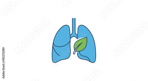 Healthy lungs represented by an anatomical illustration and a leaf, nature and health concept